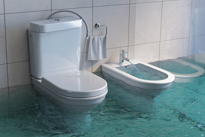 Toilet with a bidet next to it